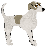 Greyhound - Abnormality