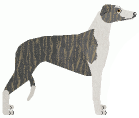 Greyhound - Grand Theft