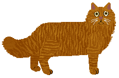 Honey Bear - Supernova V2