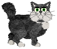 Honey Bear - Ubisoft