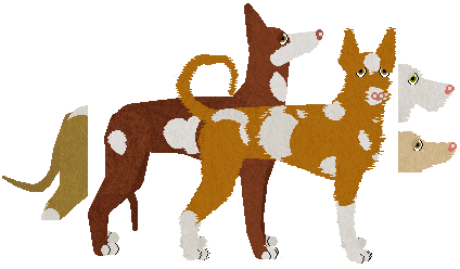 Ibizan Hound - Java V2