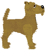 Irish Terrier - Legend
