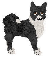 Karelian Bear Dog - PDH's Resources