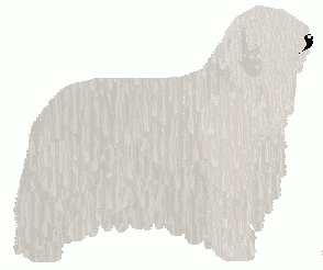 Komondor - Grand Theft