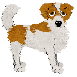 Kooikerhondje - PDH's Resources