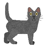 Korat - Lime Green Flamingos V2