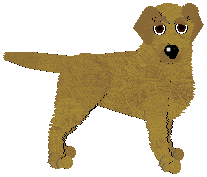 Labrador Retriever - Oak Meadow