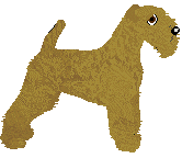 Lakeland Terrier - Abnormality