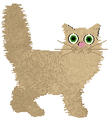 Maine Coon - Unknown