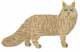 Maine Coon - Grand Theft