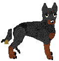 Manchester Terrier - Bedazzled (Toy)