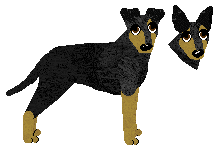 Manchester Terrier - PDH's Resources (Standard)