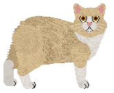 Manx - Unknown (Manx)