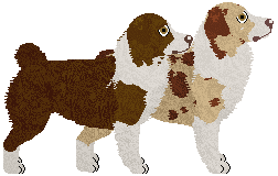 Miniature American Shepherd - Lime Green Flamingos