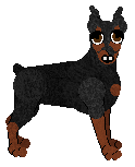 Miniature Pinscher - Abnormality