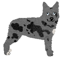 Mudi - PDH's Resources