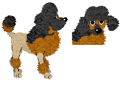 Multicoloured Poodle - Dreams Kennel (Toy)
