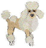 Miniature Poodle - Unknown (Miniature)