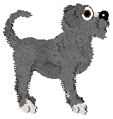 Mutt