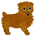 Norfolk Terrier - Abnormality V1