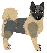 Norwegian Elkhound - Legend