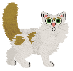 Norwegian Forest Cat - Paranoia V2