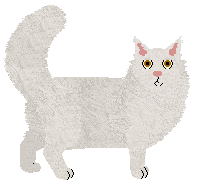 Norwegian Forest Cat - Supernova