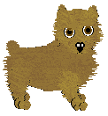 Norwich Terrier - Abnormality V1