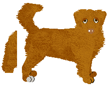 Nova Scotia Duck Tolling Retriever - Java V1