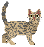 Ocicat - Paranoia V2