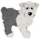 Old English Sheepdog (PFM Sheepdog)