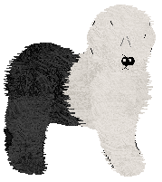 Old English Sheepdog - Abnormality V1