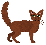 Oriental Longhair - Paranoia