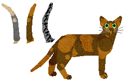 Oriental Shorthair - Supernova V1