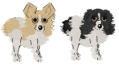 Papillon - Paranoia V1