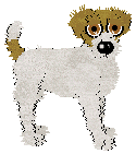 Parson Russell Terrier - Fishwife/Ceirra