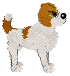 Parson Russell Terrier - Amenity/Rosestone