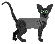 Peterbald