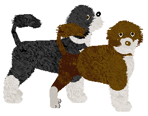 Portuguese Water Dog - Zodiac