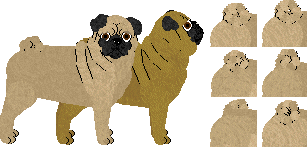 Pug - Dragonstone