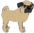 Pug - Anystar