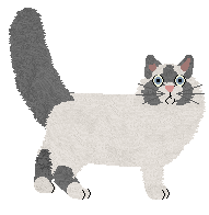 Ragdoll - PDH's Resources