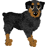 Rottweiler - Faerie Barn Dance