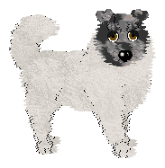 Rough Collie - Faerie Barn Dance