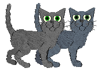 Russian Blue - Unknown