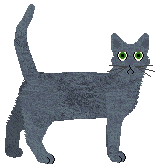 Russian Blue - Supernova