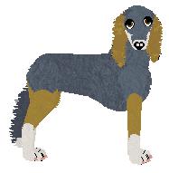 Saluki - Paranoia V2