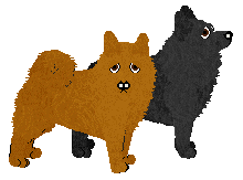 Schipperke - Abnormality V2