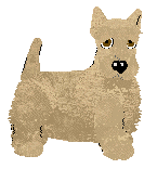 Scottish Terrier - Abnormality