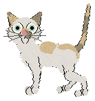 Seychellois - PF Magic